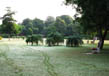 Why Visit chandigarh/attractions/ 2